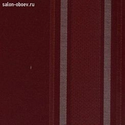 Обои Arlin Noble