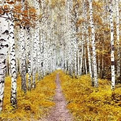 Фрески/Панно PINEGIN Лес и деревья