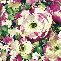 Обои Carey Lind Watercolors