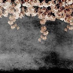 Фотообои Wall&deco Gio Pagani 13